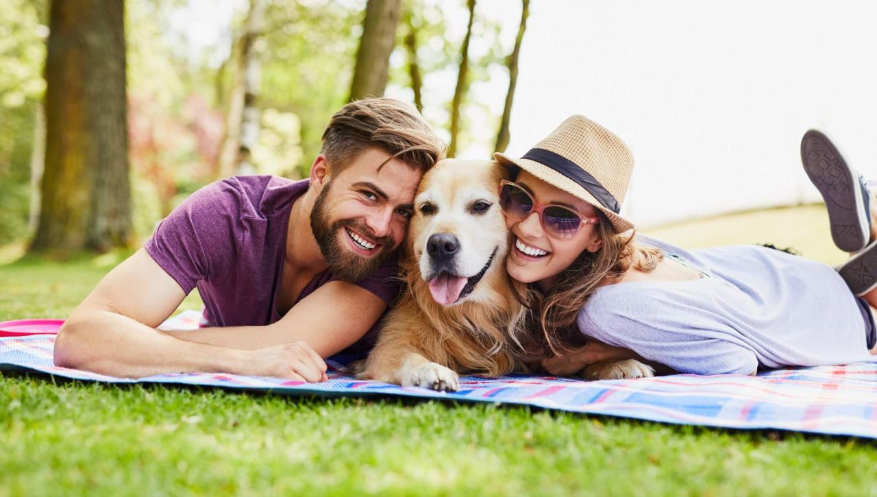 Pet and Dog Friendly Vacations in New Hampshire | New England Inns and Resorts