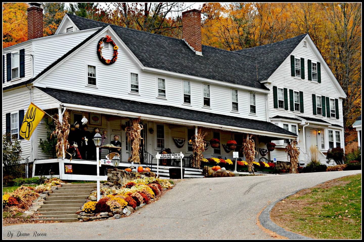 A Lifetime in Minutes: Christmas Lodge 