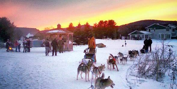 Stoweflake Dog Sledding Team Building Retreat